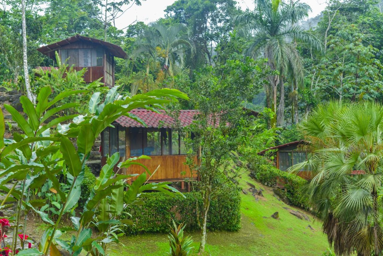 Pacuare River Lodge Bajo Tigre 외부 사진