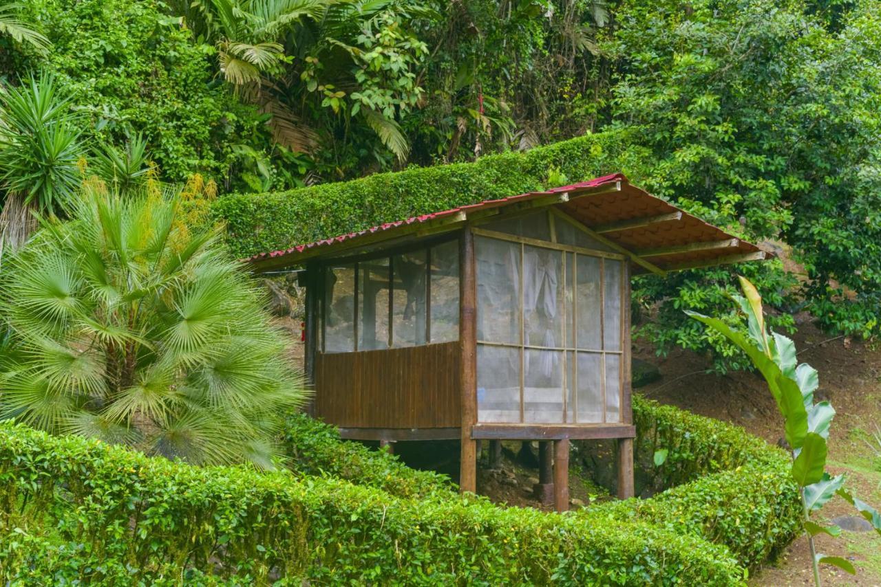 Pacuare River Lodge Bajo Tigre 외부 사진