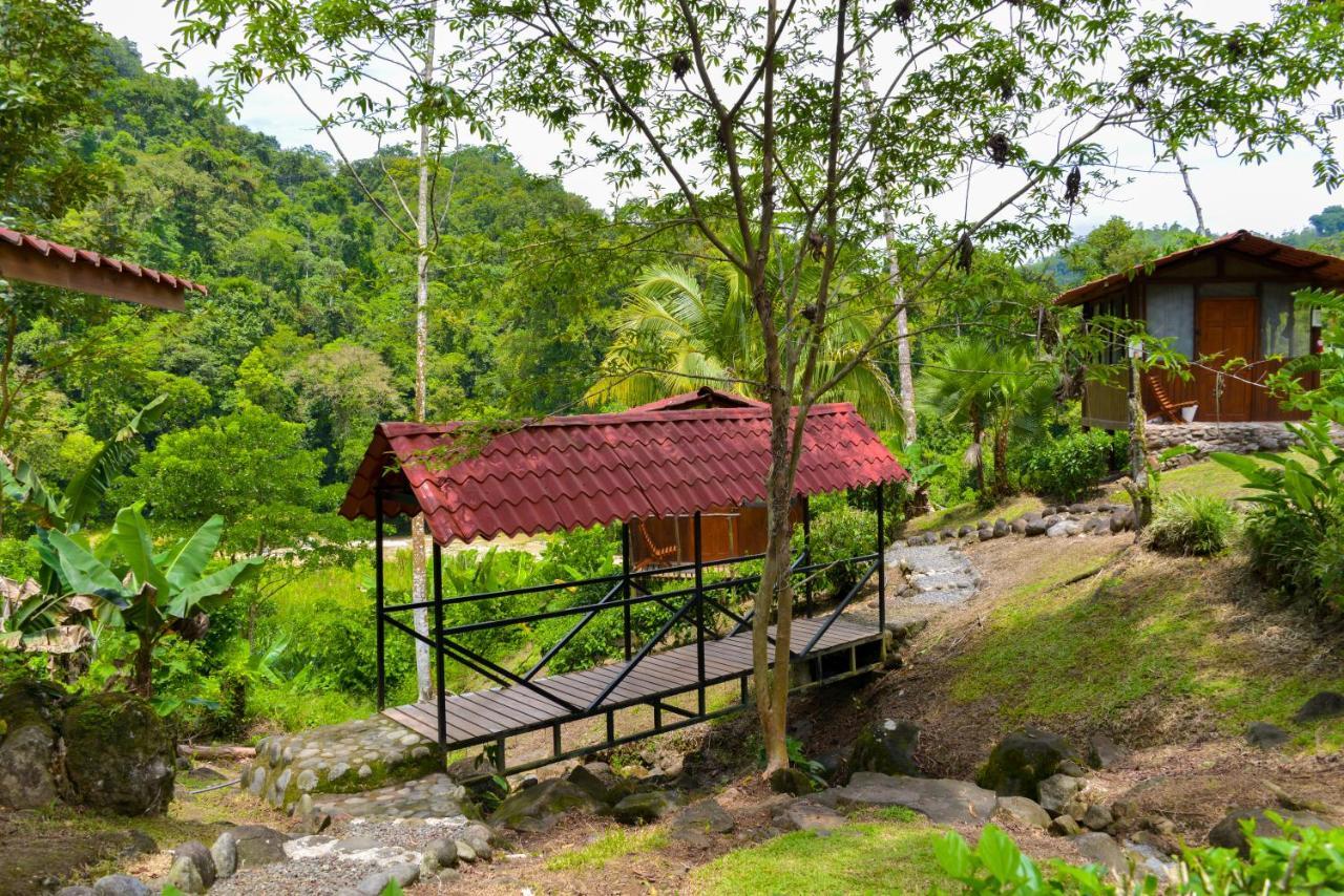 Pacuare River Lodge Bajo Tigre 외부 사진