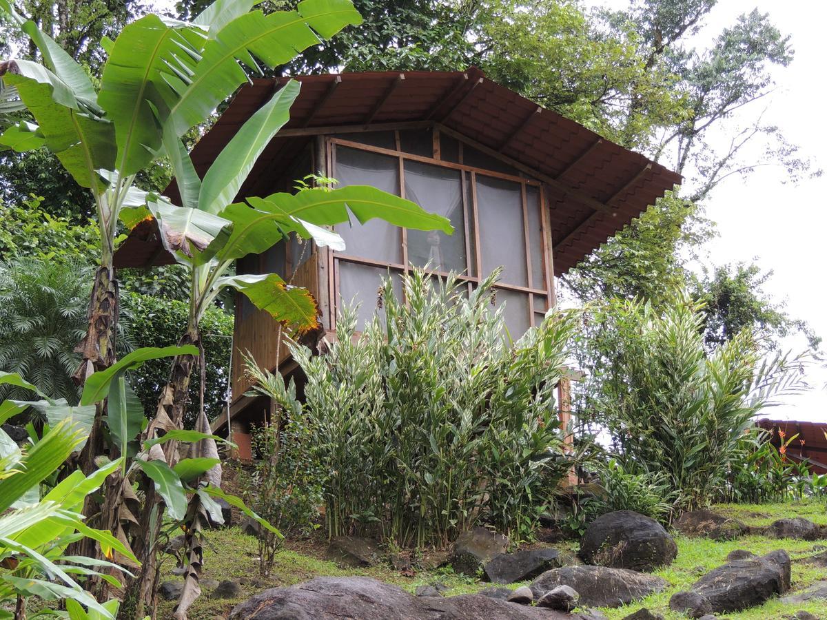 Pacuare River Lodge Bajo Tigre 외부 사진