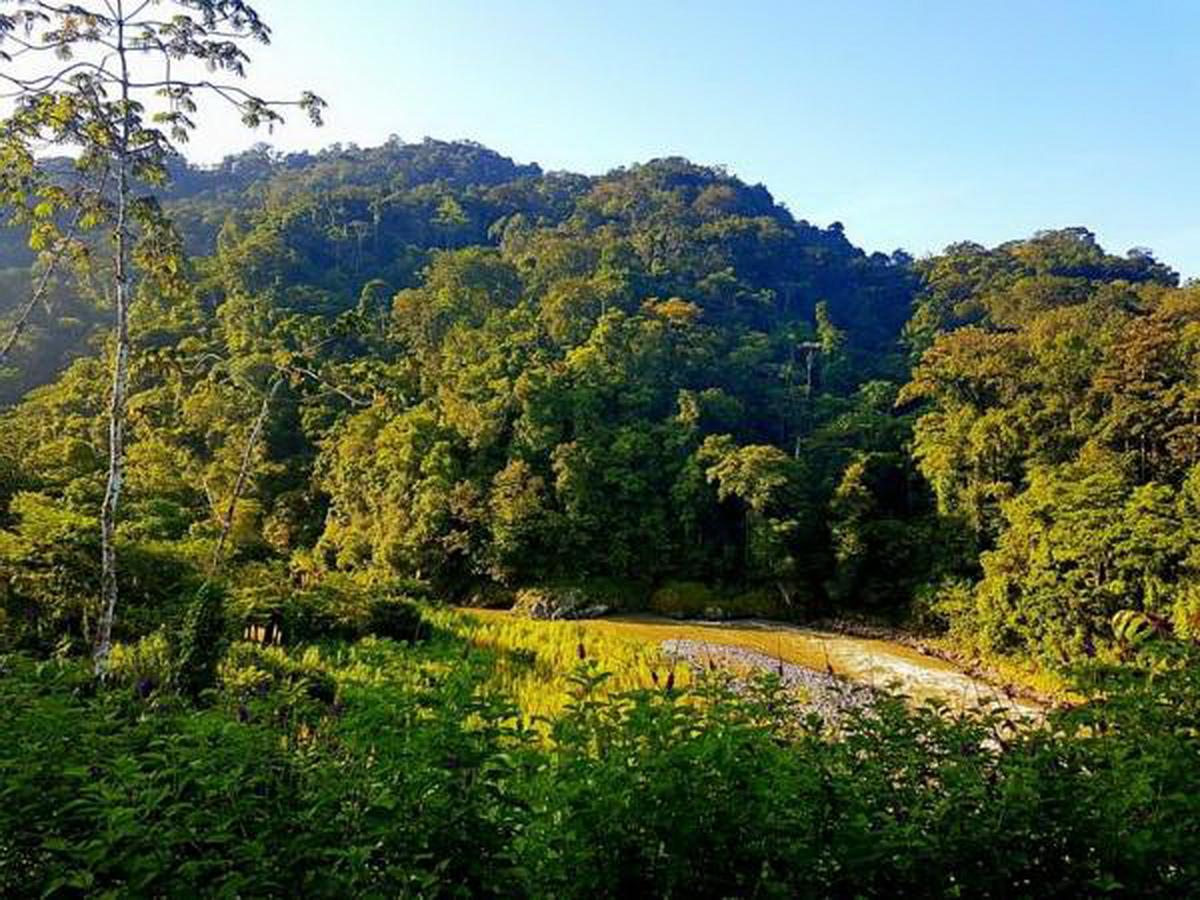 Pacuare River Lodge Bajo Tigre 외부 사진