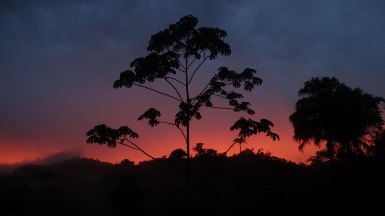 Pacuare River Lodge Bajo Tigre 외부 사진
