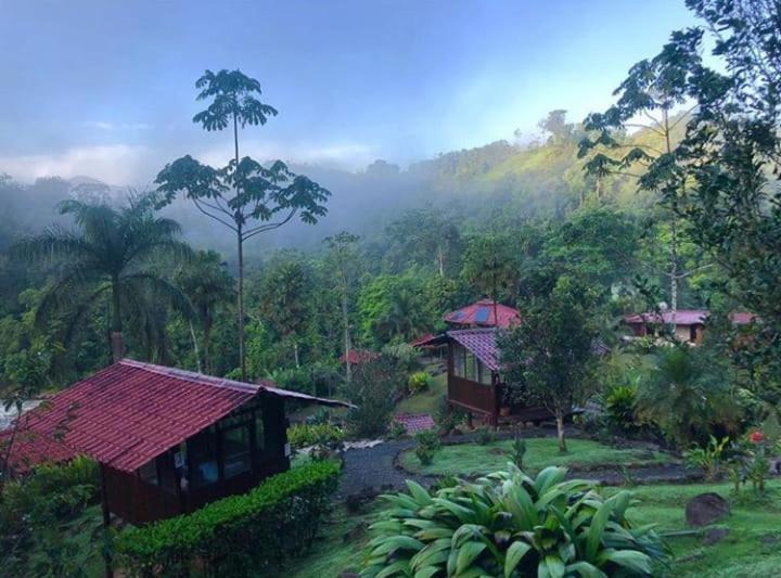 Pacuare River Lodge Bajo Tigre 외부 사진