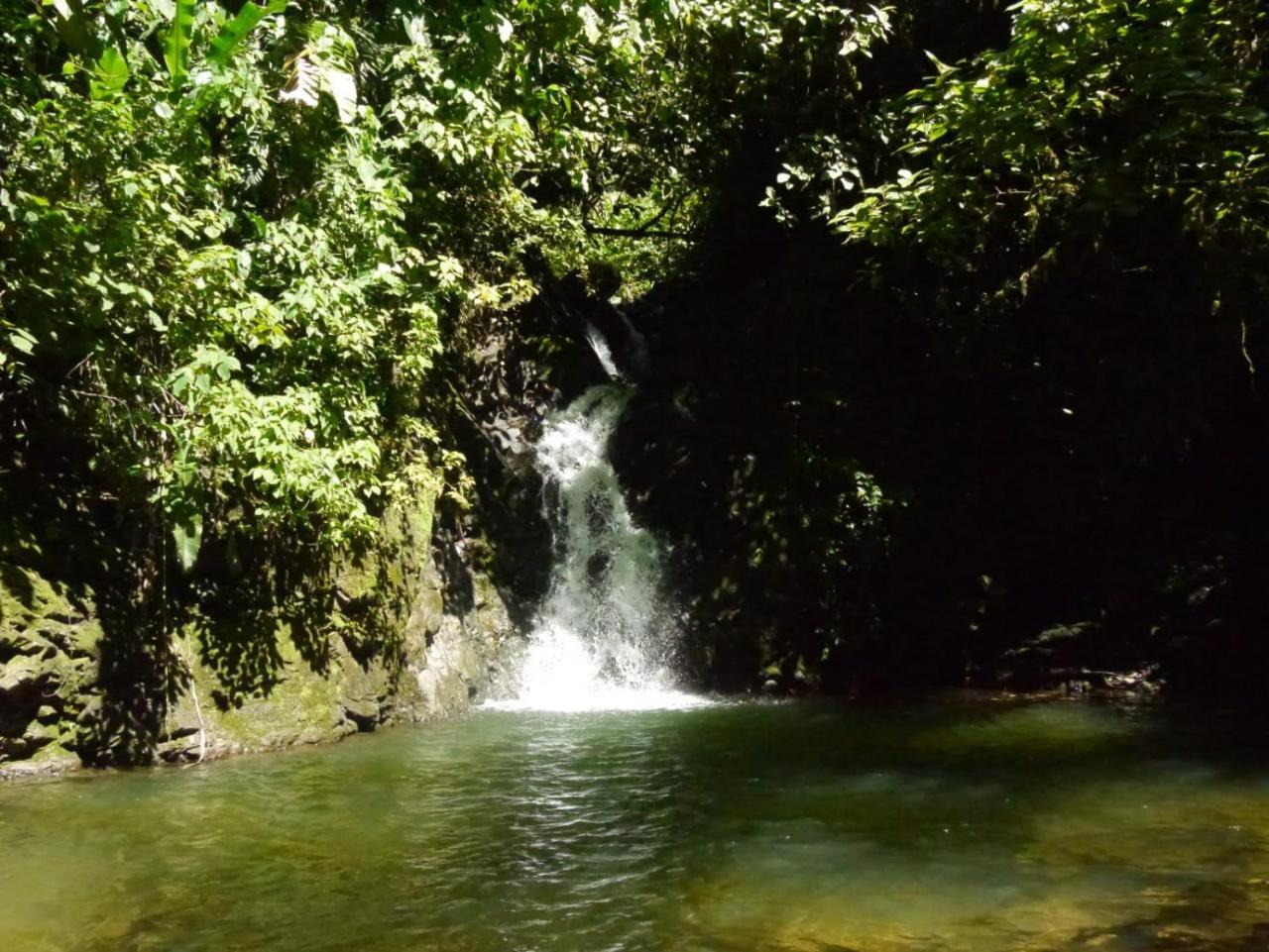 Pacuare River Lodge Bajo Tigre 외부 사진