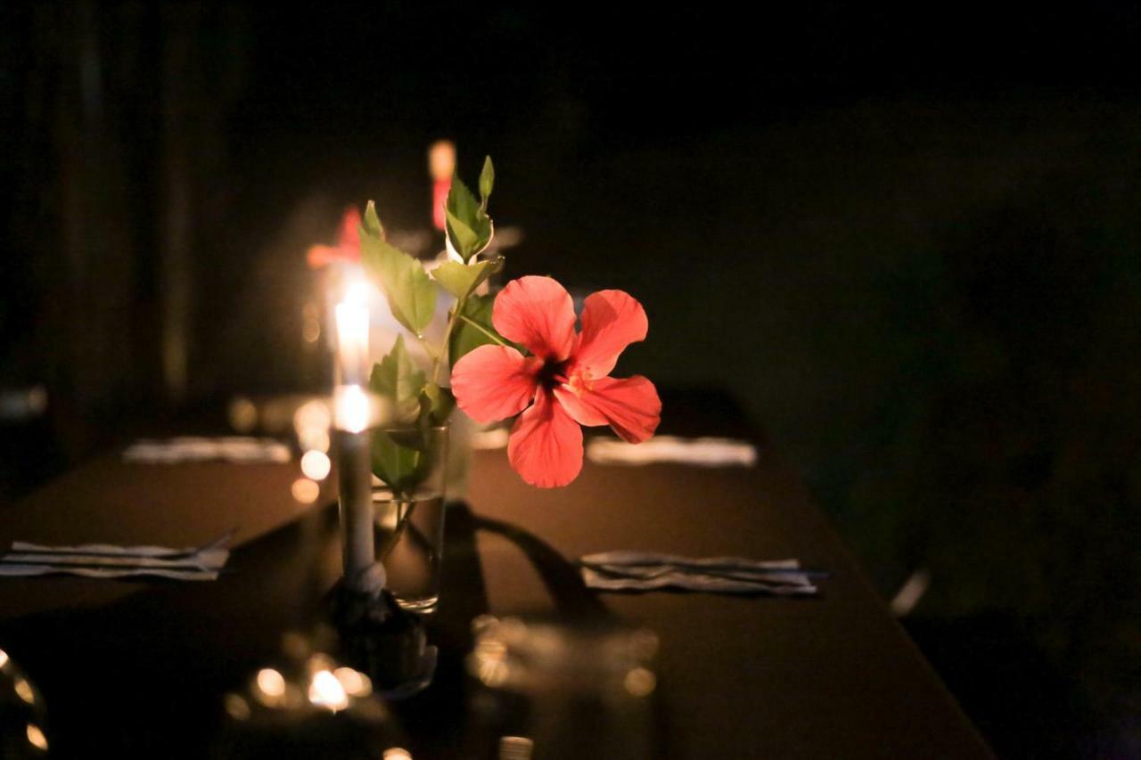 Pacuare River Lodge Bajo Tigre 외부 사진